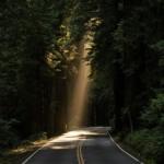 DBT and MBT for BPD with comorbid depression and/or anxiety